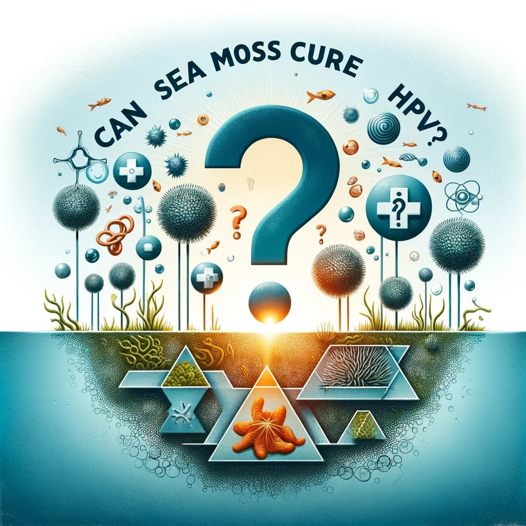 Can Sea Moss Cure HPV The Sea Moss Harvest