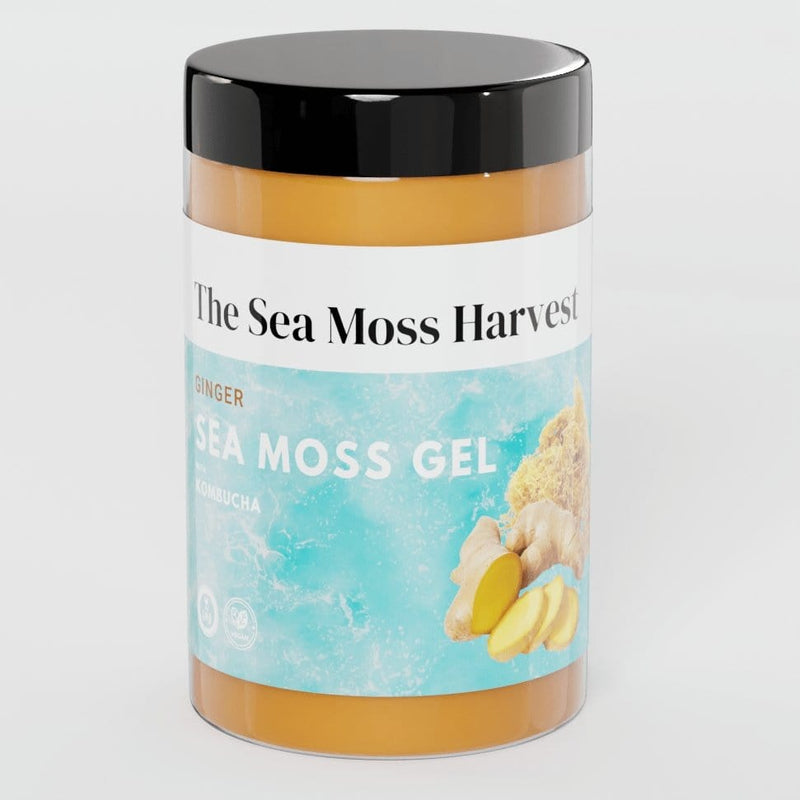 Zesty Ginger Kombucha - Sea Moss Gel