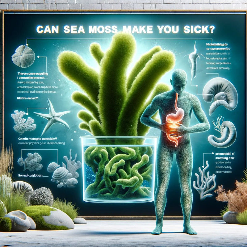Can Sea Moss Make You Sick