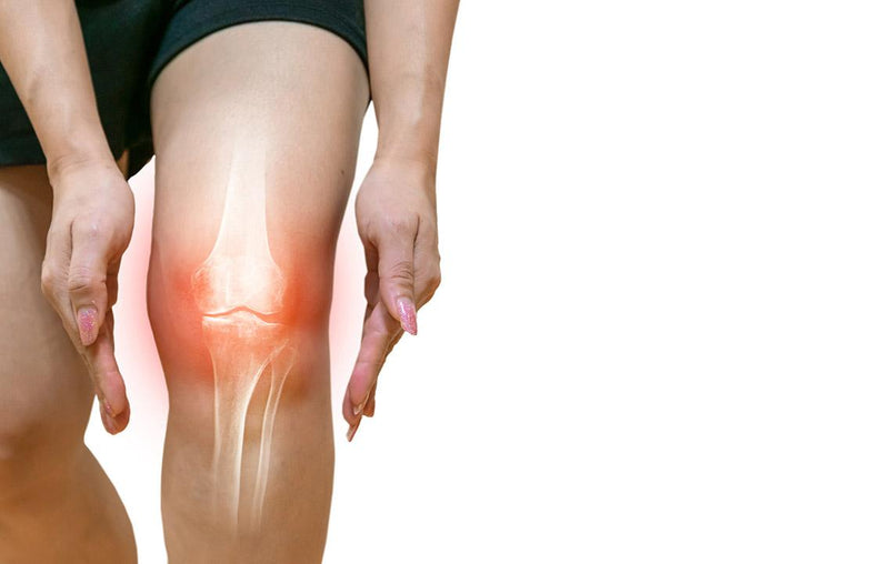 Does Sea Moss Help with Inflammation?