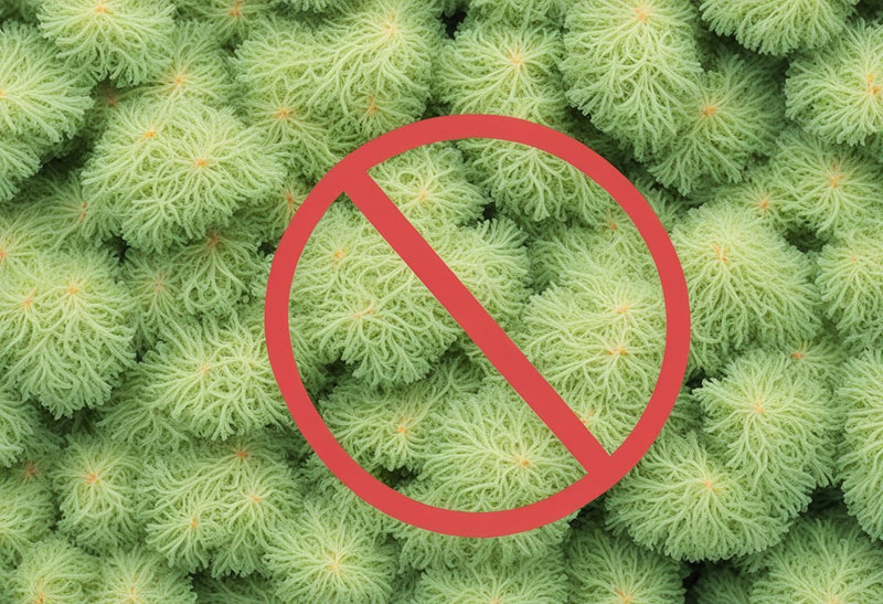 FDA Banning Sea Moss