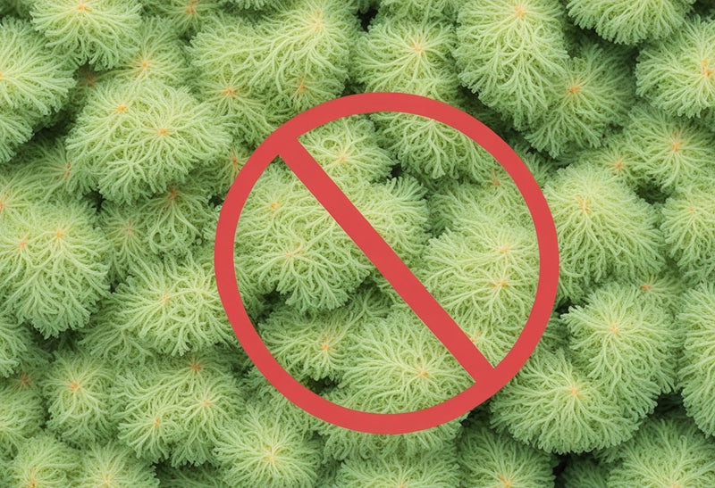 FDA Banning Sea Moss