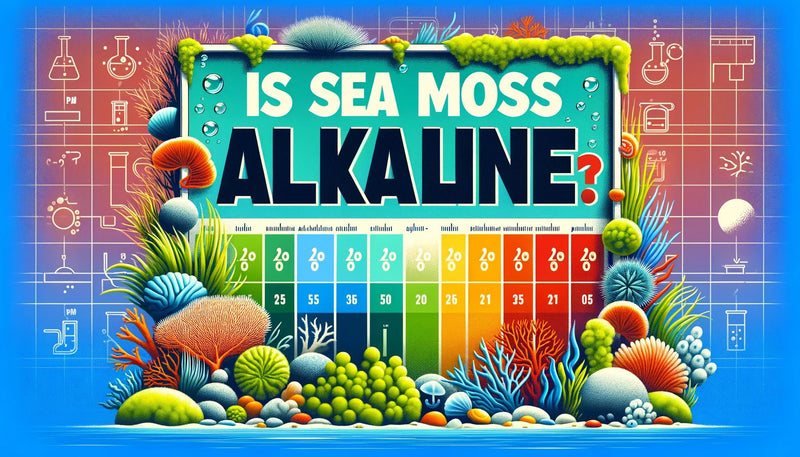 Is Sea Moss Alkaline