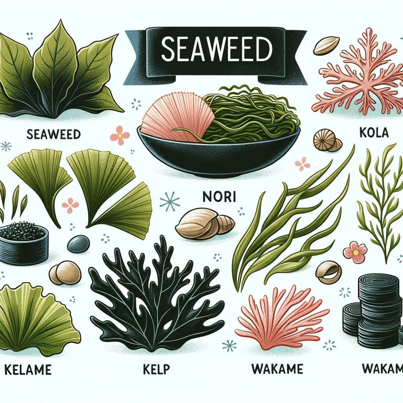 Is Seaweed Keto
