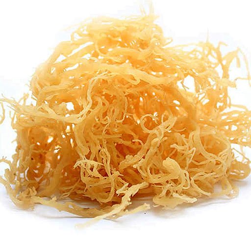 The New Sea Moss Supplement Craze