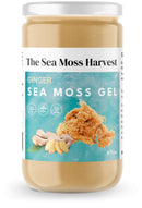 Ginger Sea Moss Gel